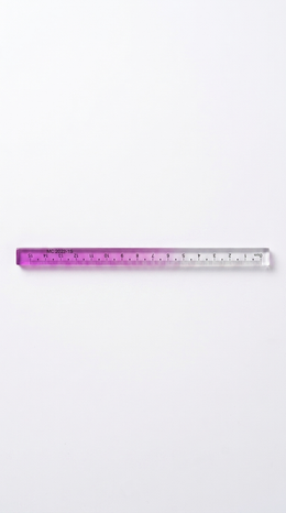 Titepo Dual-tone Plastic Ruler (Purple & clear)| Return Gift Online
