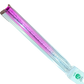 Dual-Tone Plastic Ruler (Pink & Clear)