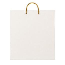Titepo Custom Return Gift Bag